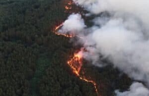 Овладян е пожарът в местността „Сръбенец“ над Стрелча