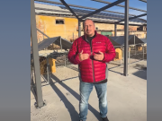 Кметът Гагов: „Готови сме с приюта, чакаме регистрация в средата на месеца“