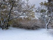 Изпращаме януари със студено време, посрещаме февруари с 15 градуса