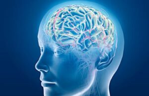 29 октомври – Световен ден за борба с инсулта