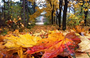 Ноември идва с промяна във времето