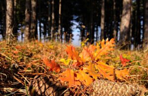 Kaкво ще е времето в събота