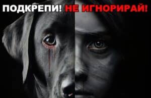 Протест срещу насилието над животни ще се състои в Панагюрище тази събота