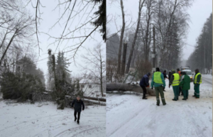 Силен вятър събори дървета и блокира пътя към Панагюрски колонии