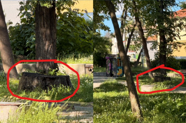 Екранна снимка 2026-05-26 212734