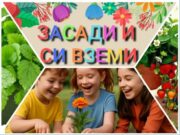 „Всяка сряда в парка“ се завръща със зелена работилница за деца