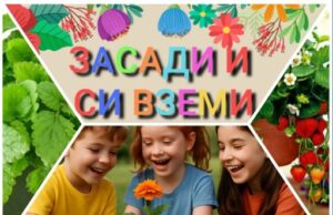 „Всяка сряда в парка“ се завръща със зелена работилница за деца