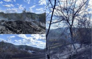 Пожар край село Попинци беше успешно потушен