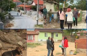Кучето от жестокия клип в село Левски вече е под закрила, доброволци търсят нов дом за него